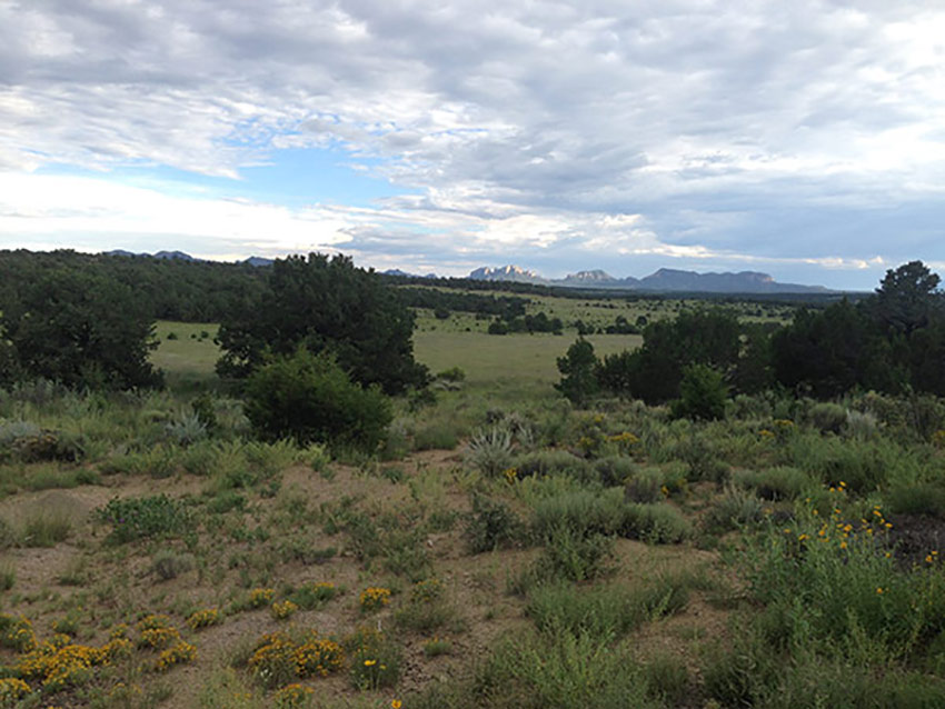 Ponderosa Views Photo Gallery New Mexico Ranch Land for Sale