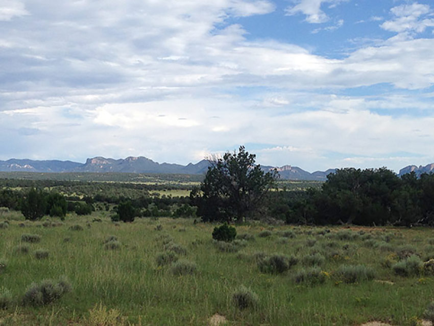 Ponderosa Views Photo Gallery New Mexico Ranch Land for Sale