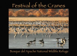 Festival of the Cranes