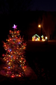 Basset Yard Christmas Tree