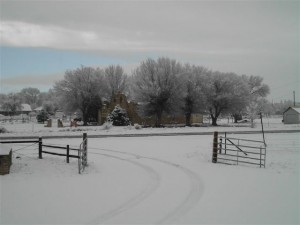 Winter Wonderland New Mexico
