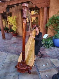 Harp in the Park