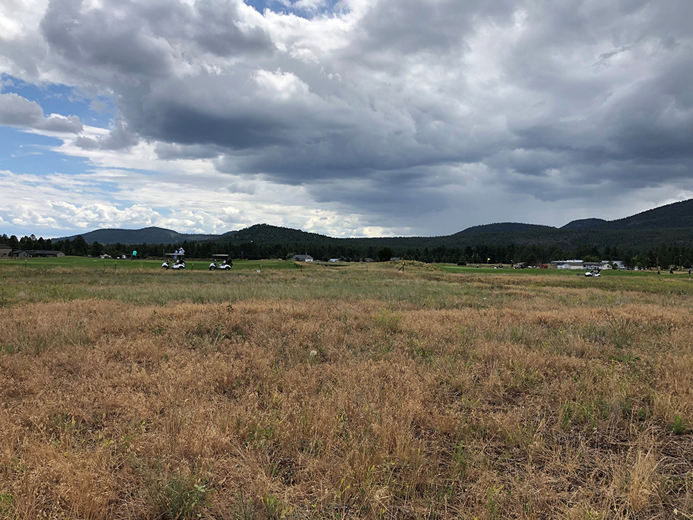 Williams, Arizona Land for Sale on Golf Course AZ Land for Sale