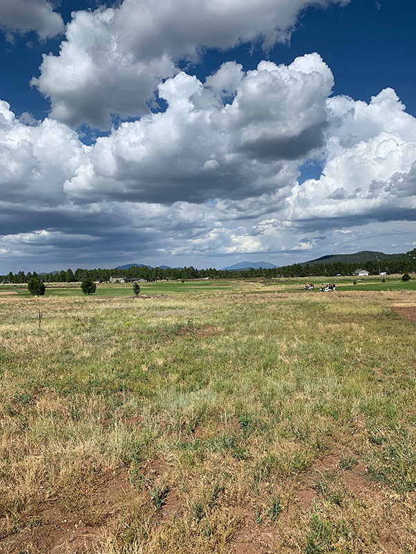 Williams, Arizona Land for Sale on Golf Course AZ Land for Sale
