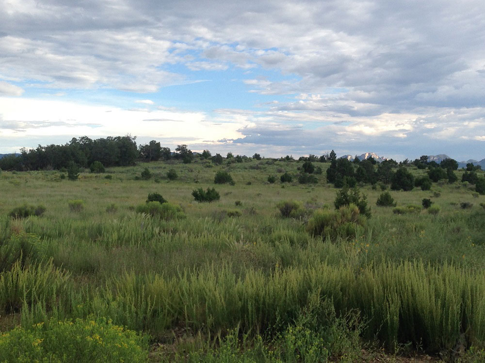 New Mexico Featured Properties NM Land for Sale