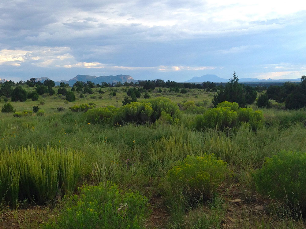 New Mexico Featured Properties NM Land for Sale