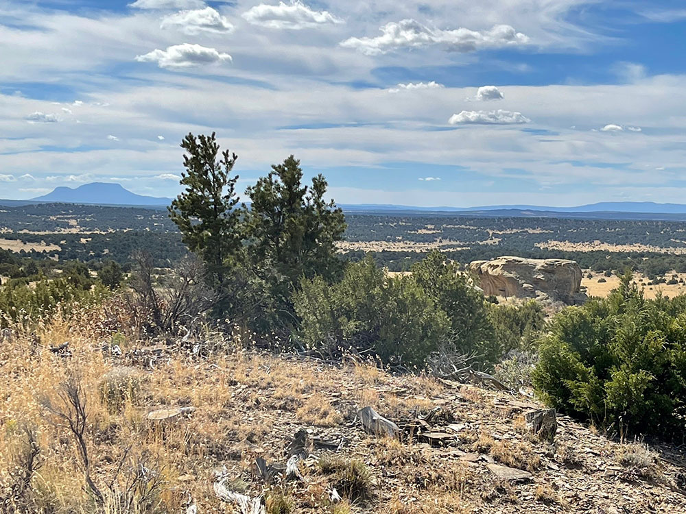 New Mexico Featured Properties NM Land for Sale