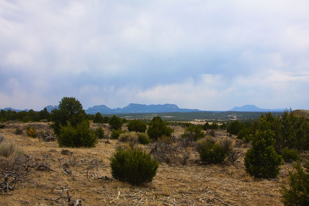 New Mexico Featured Properties NM Land for Sale