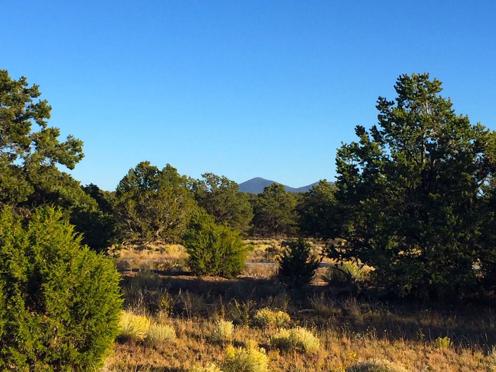 New Mexico Featured Properties NM Land for Sale