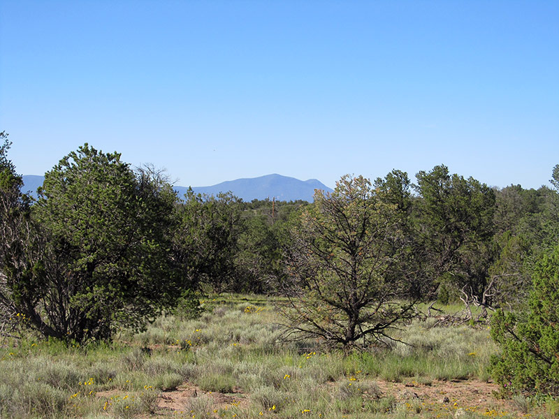 Indians Springs Ranch Photo Gallery - New Mexico Ranch Land for Sale